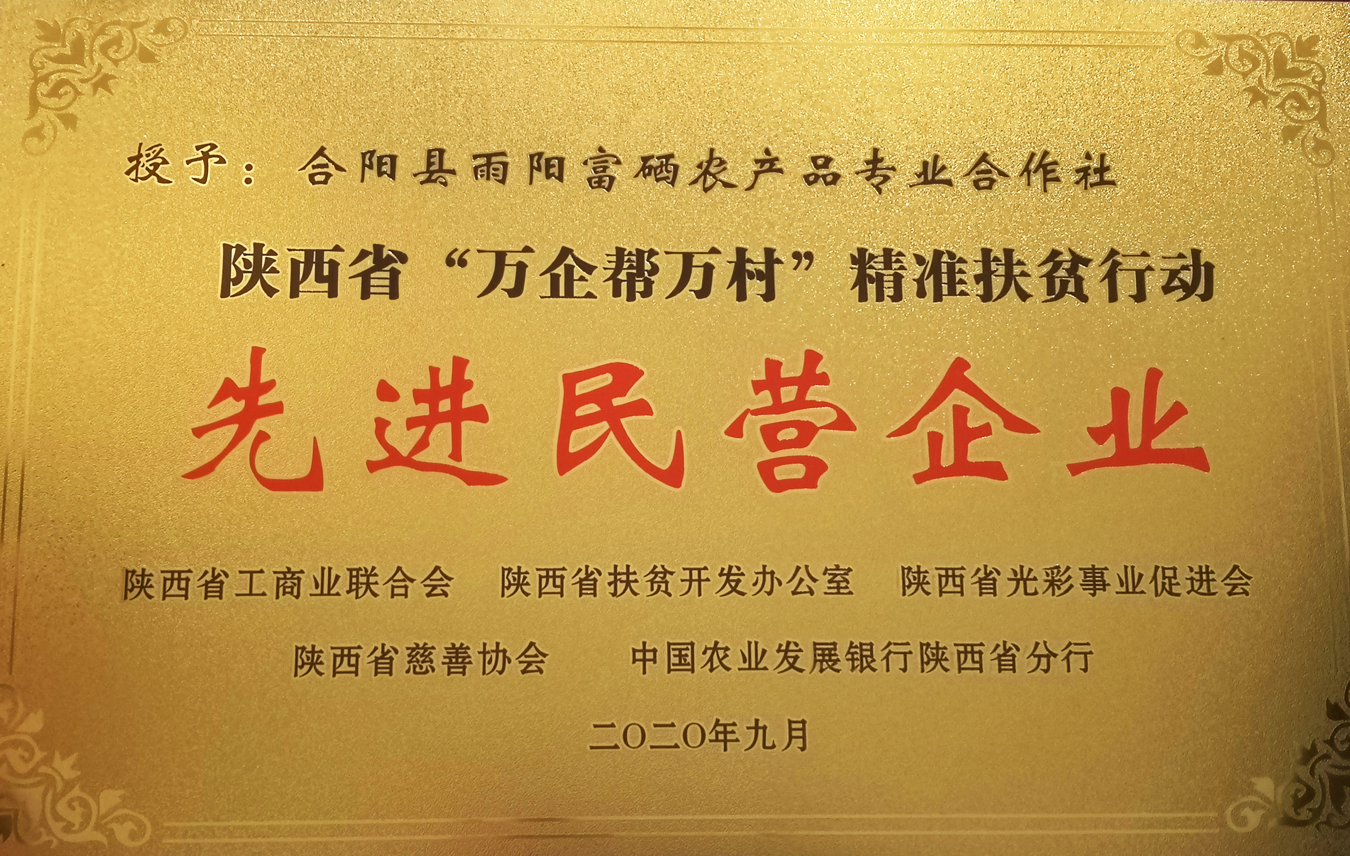 雨阳合作社获得陕西省“万企帮万村”先进民营企业荣誉